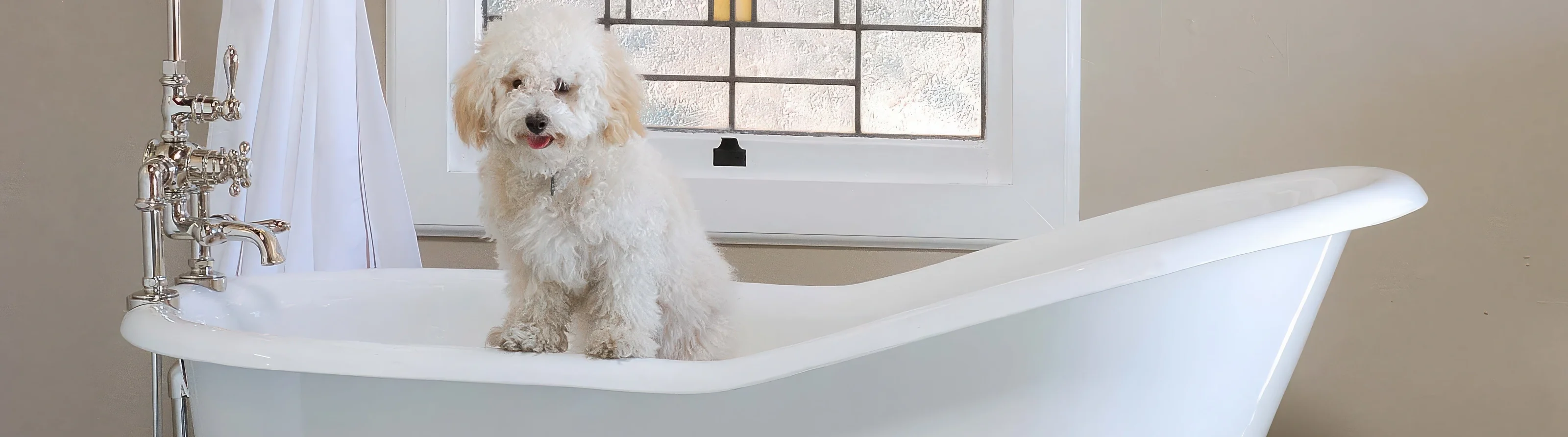 Welcome to Our Store